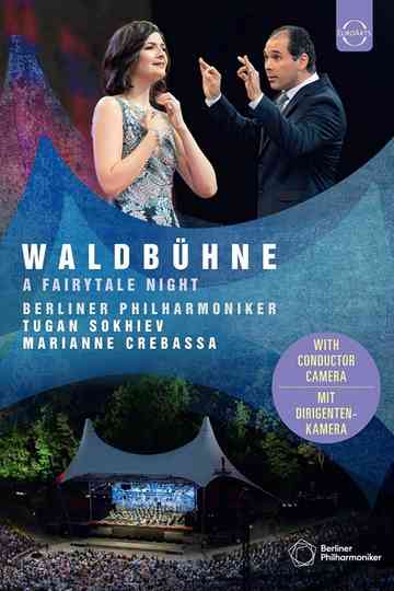 Waldbühne 2019: A Fairytale Night Poster