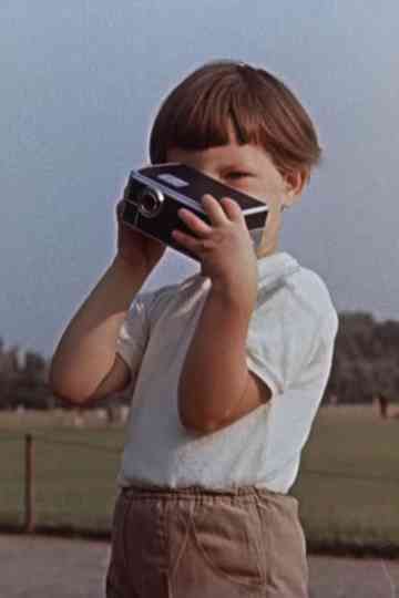 Sommer, Sonne, AK 8 Poster