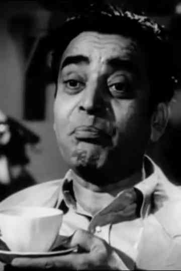 The Case of Mr. Critic Poster