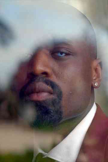 The Ideal SoninLaw Poster