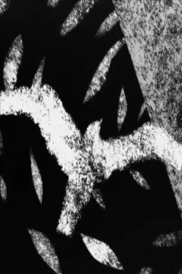 Proem To Brooklyn Bridge