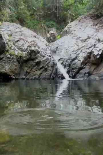 Casting Light Poster