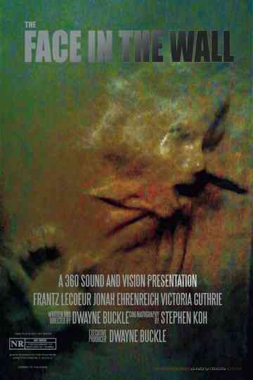 The Face in the Wall Poster