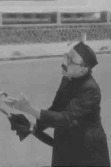 The Case of Mr. X Poster