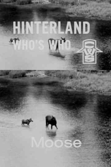 Hinterland Who's Who: Moose Poster