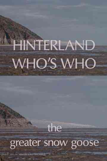 Hinterland Who's Who: The Greater Snow Goose Poster