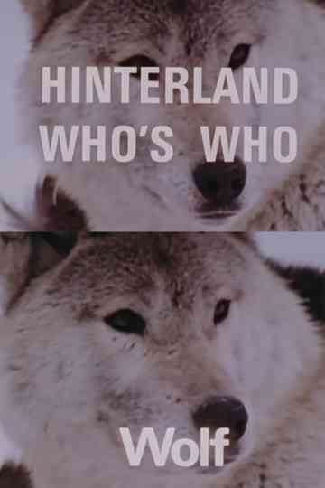 Hinterland Who's Who: Wolf Poster