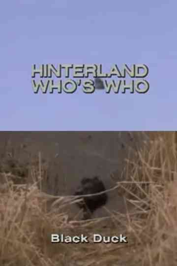 Hinterland Who's Who: Black Duck Poster