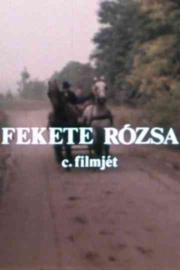 Fekete rózsa Poster