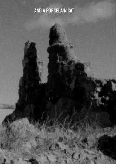 and a porcelain cat... poster