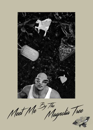 Meet Me By The Magnolia Tree