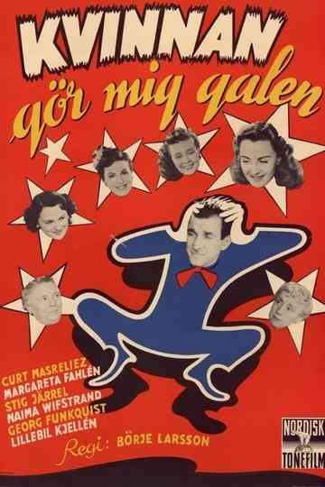 The Woman Drives Me Crazy Poster