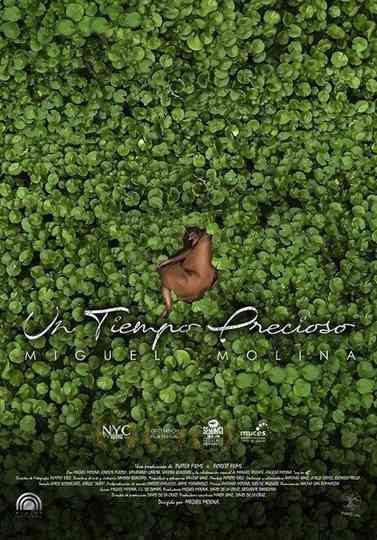 Un tiempo precioso Poster