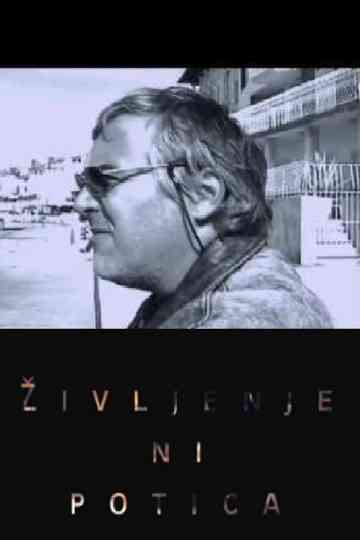 Life Is Not a Nut Roll Poster