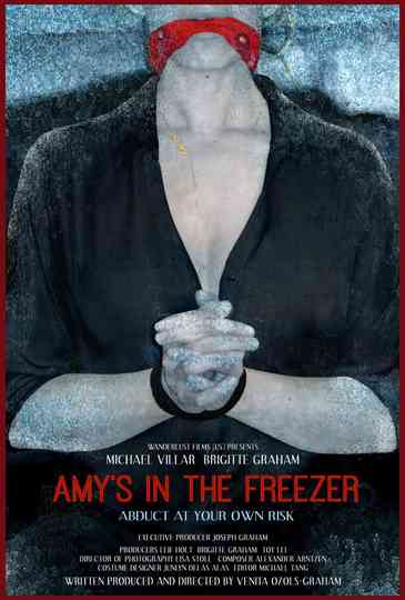 Amys in the Freezer Poster