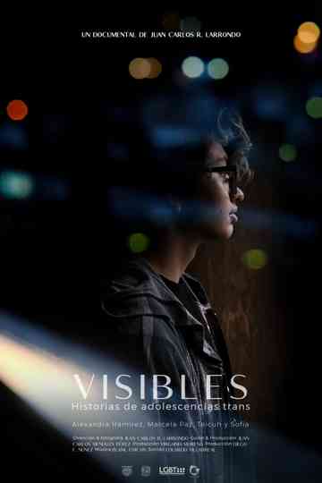 Visible Transgender Youth Stories Poster