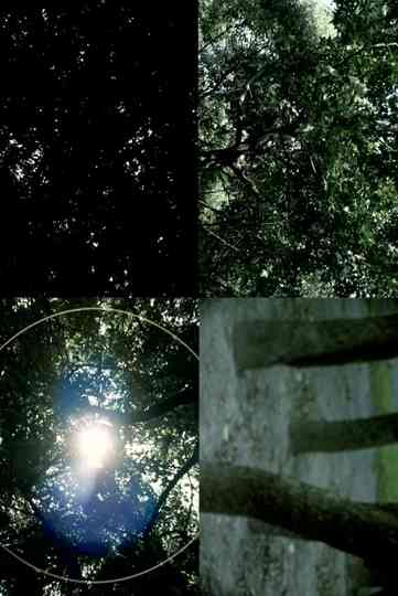 The Pursuit of What Was Poster