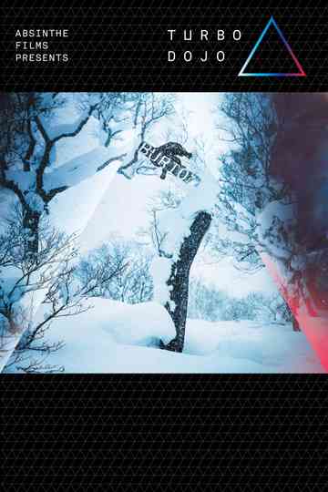 TurboDojo Poster