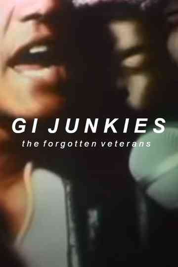 GI Junkies The Forgotten Veterans Poster