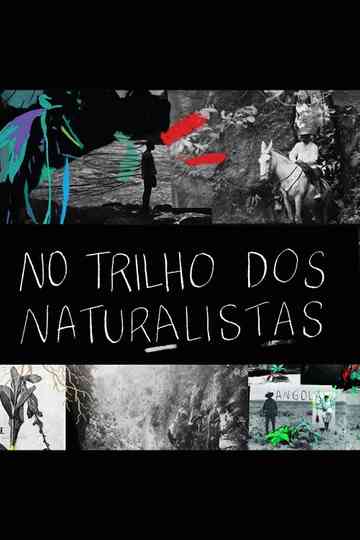 No Trilho dos Naturalistas Angola Poster