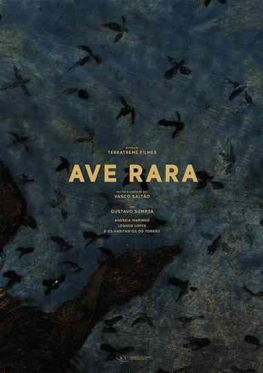 Ave Rara Poster