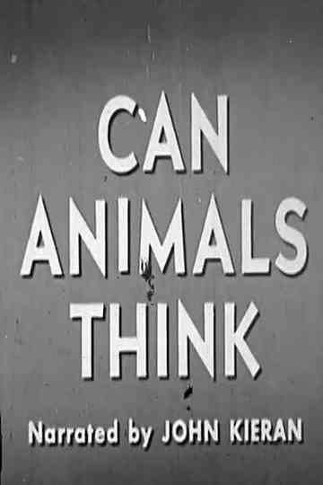 Can Animals Think Poster