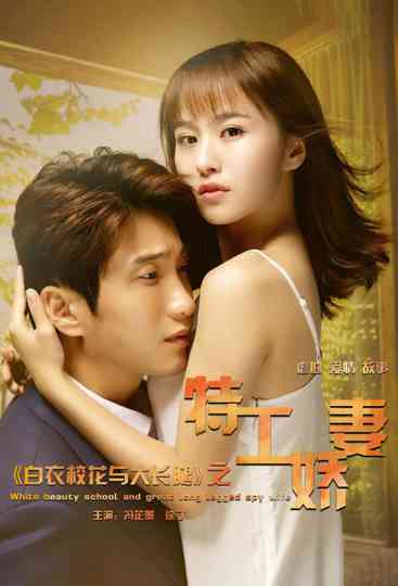 Perfect Match: True Love Poster