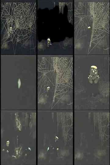 The Spider