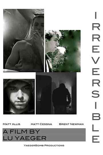 Irreversible Poster