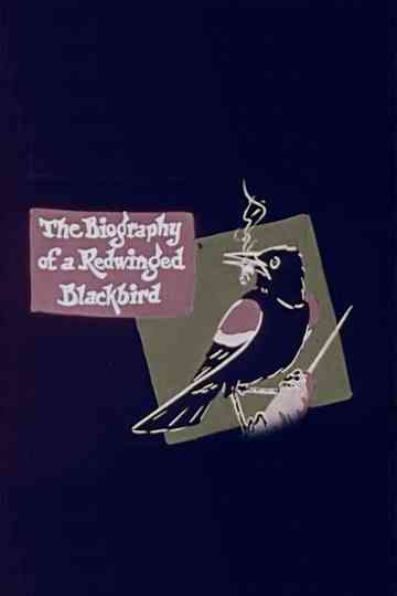 The Biography of a Redwinged Blackbird Poster
