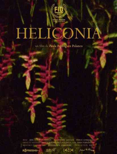 Heliconia Poster