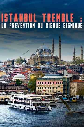 Istanbul tremble  La prévention du risque sismique Poster