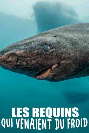 Les requins qui venaient du froid Poster