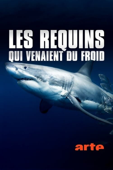 Les requins qui venaient du froid