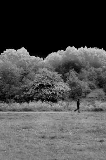 The Grey Between (A Lockdown Time Capsule) Poster