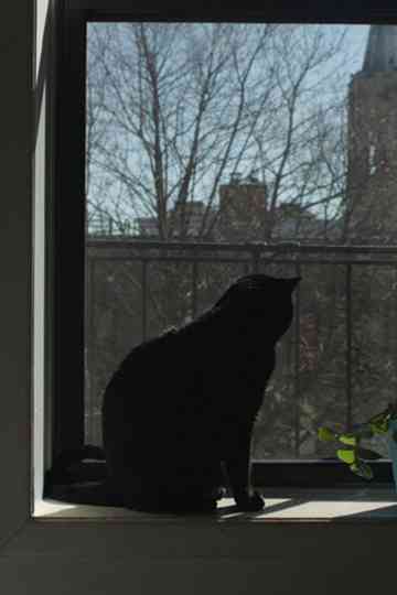 A Version of the West Poster