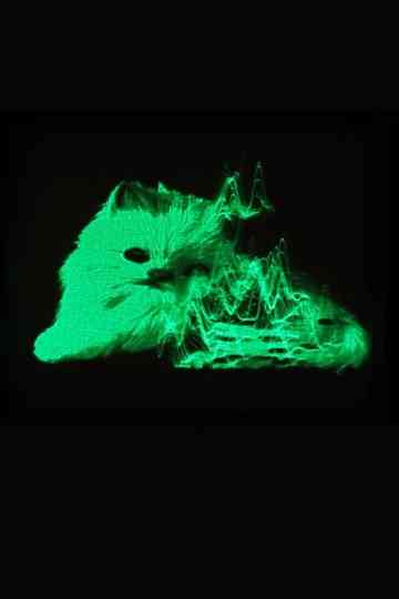 My Favorite Object poster