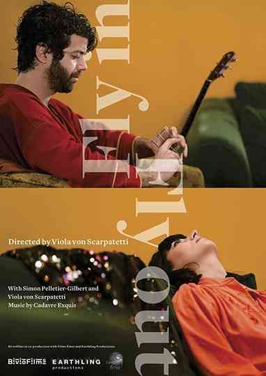 Fly In Fly Out Poster