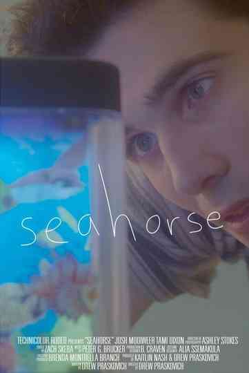Seahorse Poster