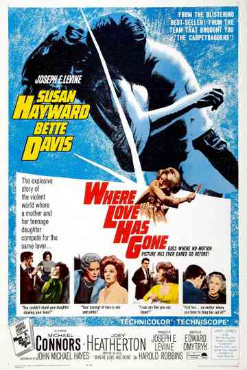 Where Love Has Gone Poster