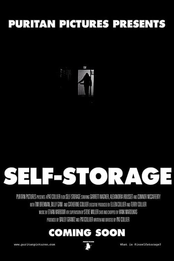 SelfStorage Poster