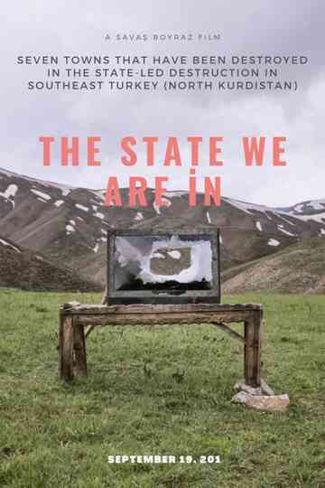 The State We Are İn poster