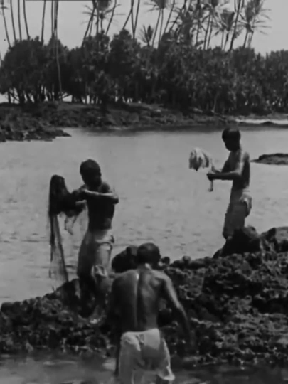 Kanaka Fishermen Casting the Throw Net Hilo HI