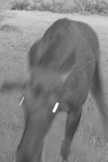 Cracking Sound Poster