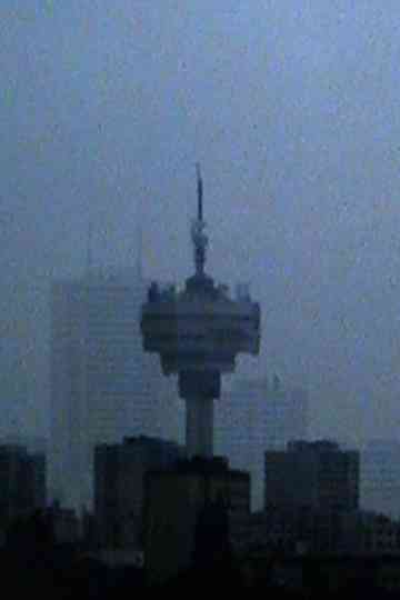 After Us, the Flood Poster