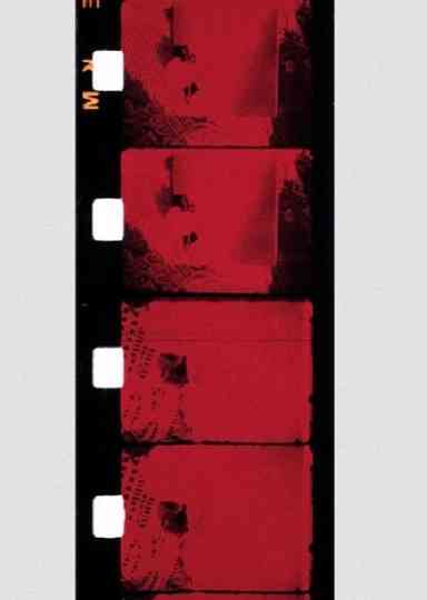 Chutes de Liberté provisoire Poster