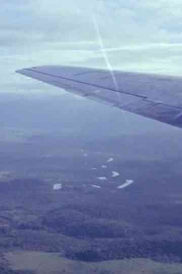 O Voo da Amizade Poster