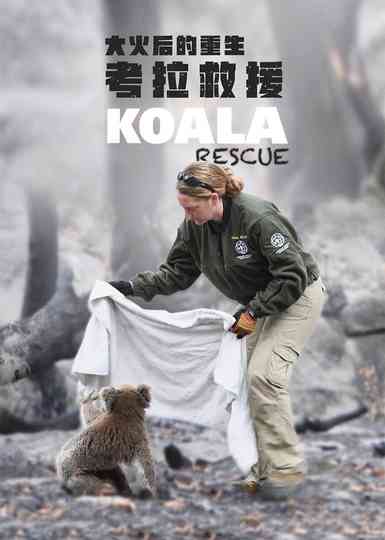 Koala Rescue Poster