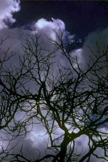 Kodachrome Dailies from the Time of Song and Solitude (Reel 2) Poster