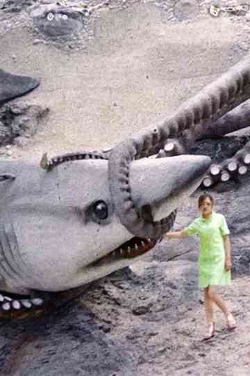 Beijing Silvermine Poster